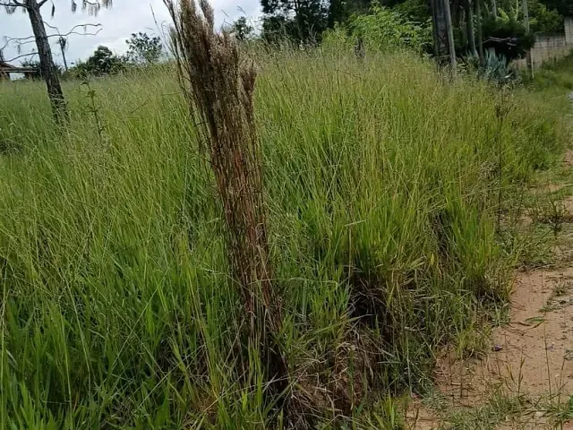 Terreno com 1200m², à venda, no bairro Haras Santa Rosa em Ibiúna