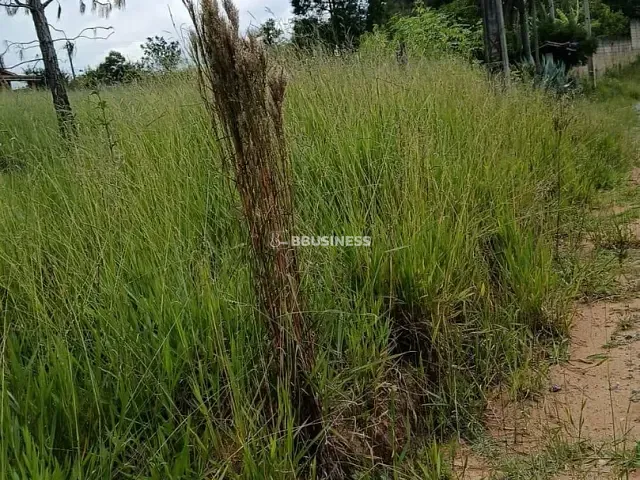 Terreno com 1100m², à venda, no bairro Haras Santa Rosa em Ibiúna