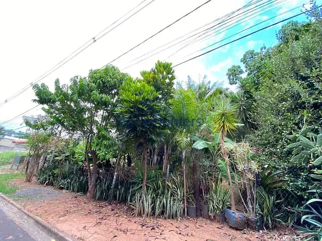 Terreno com 360m², à venda, no bairro Vila Brandina em Campinas