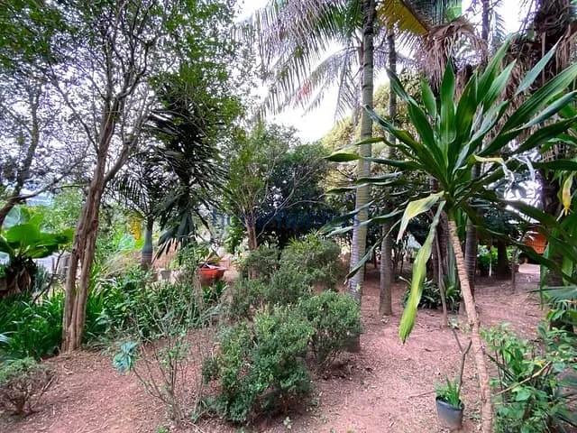 Terreno com 360m², à venda, no bairro Vila Brandina em Campinas