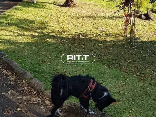 Terreno com 319m², à venda, no bairro Jardim Sorirama (Sousas) em Campinas