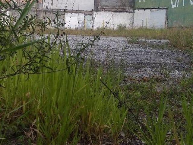 Foto do Terreno - Terreno comercial para locação, Cidade Líder, São Paulo - TE0781. | ZONA LESTE IMÓVEIS