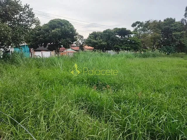 Terreno com 300m², à venda, no bairro Alto do Cardoso em Pindamonhangaba