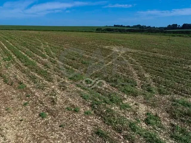 Terreno com 297000m², à venda, no bairro Condomínio Imperial Posse em Santo Antônio de Posse