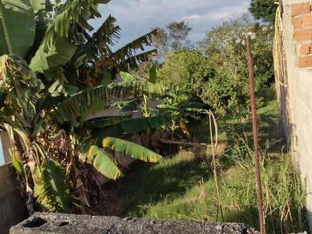Foto do Terreno - Terreno à venda, 250 m² por R$ 59.000,00 - Jardim Santa Hermínia - São José dos Campos/SP | INDEPENDENCE NEGOCIOS IMOBILIARIOS LTDA
