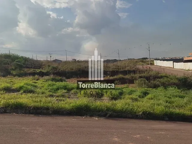 Terreno com 302m², à venda, no bairro Cará-Cará em Ponta Grossa