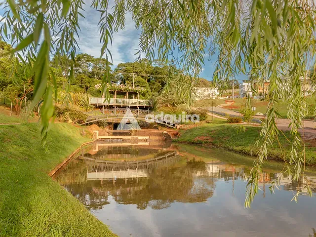 Terreno com 348m², à venda, no bairro Colônia Dona Luíza em Ponta Grossa