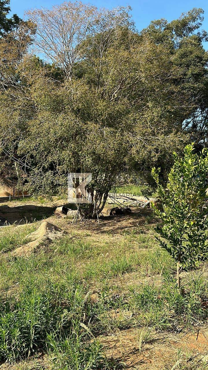 Terreno, 2000 m² - Foto 4