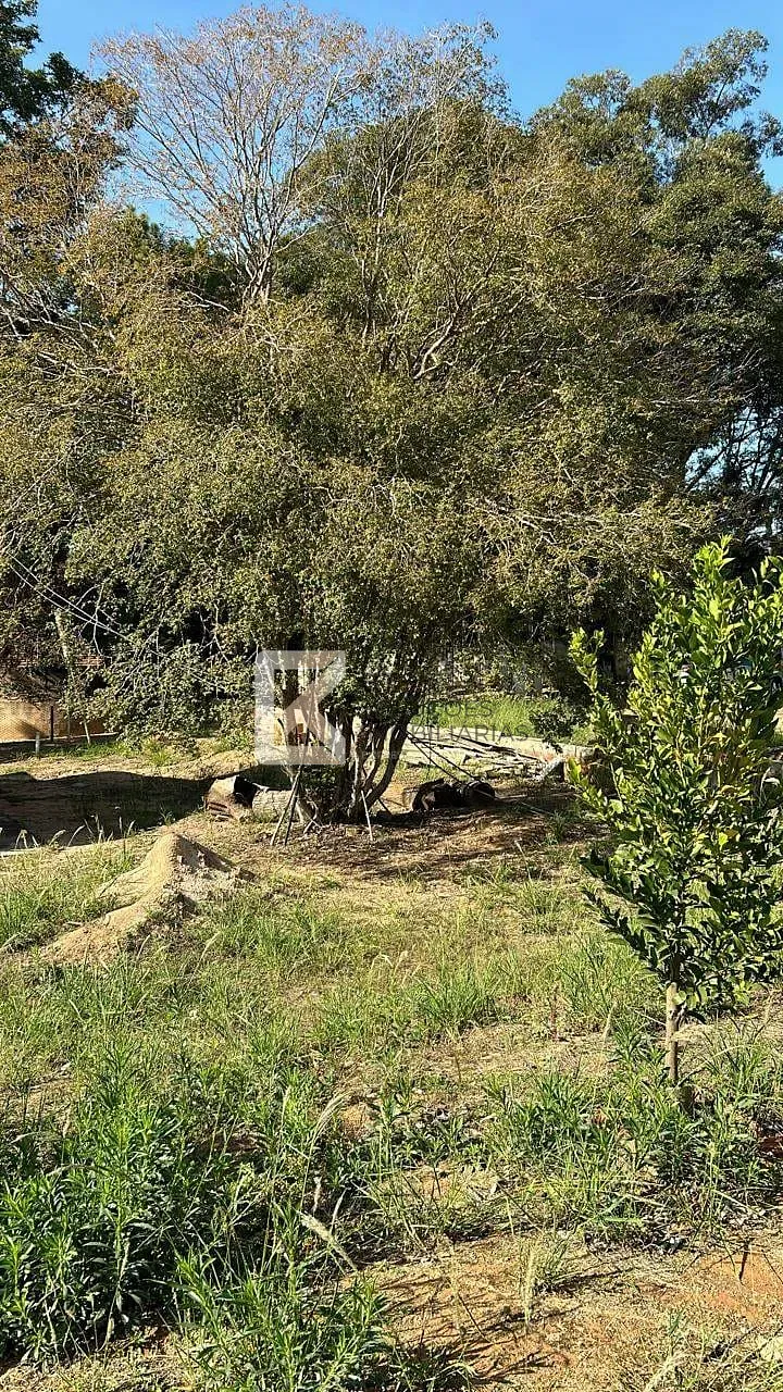 Terreno, 2000 m² - Foto 4