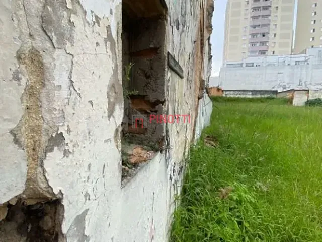 Terreno para alugar, no bairro Rudge Ramos em São Bernardo do Campo