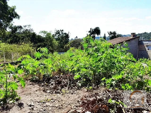 Terreno com 1000m², à venda, no bairro Jardim Estância Brasil em Atibaia