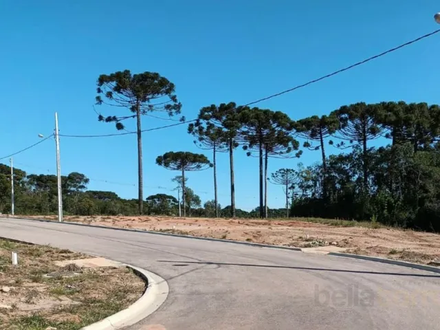 Terreno à venda, no bairro Quatro Barras em Quatro Barras