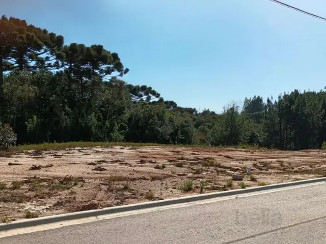 Terreno à venda, no bairro Quatro Barras em Quatro Barras