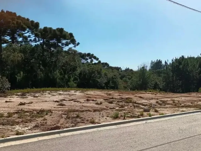 Terreno à venda, no bairro Quatro Barras em Quatro Barras