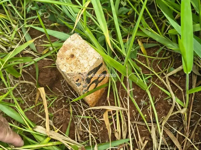 Terreno com 250m², à venda, no bairro Jardim Fortaleza em Campinas