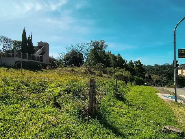 Terreno com 993m², à venda, no bairro Jardim América em Caxias do Sul