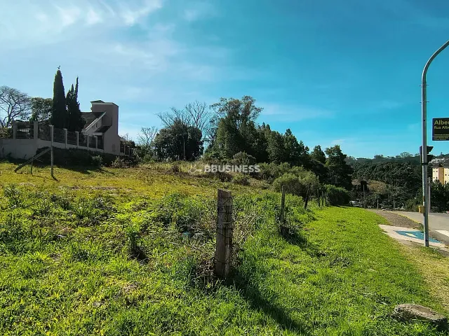 Terreno com 993m², à venda, no bairro Jardim América em Caxias do Sul