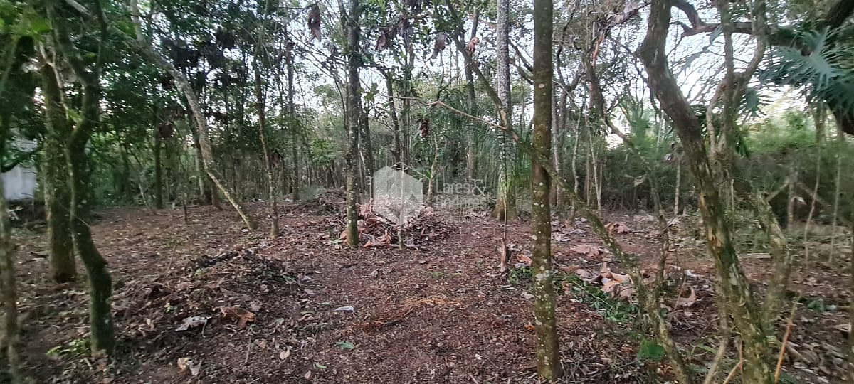 Terreno à venda com 1 quarto, 10m² - Foto 4