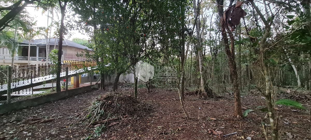 Terreno à venda com 1 quarto, 10m² - Foto 6