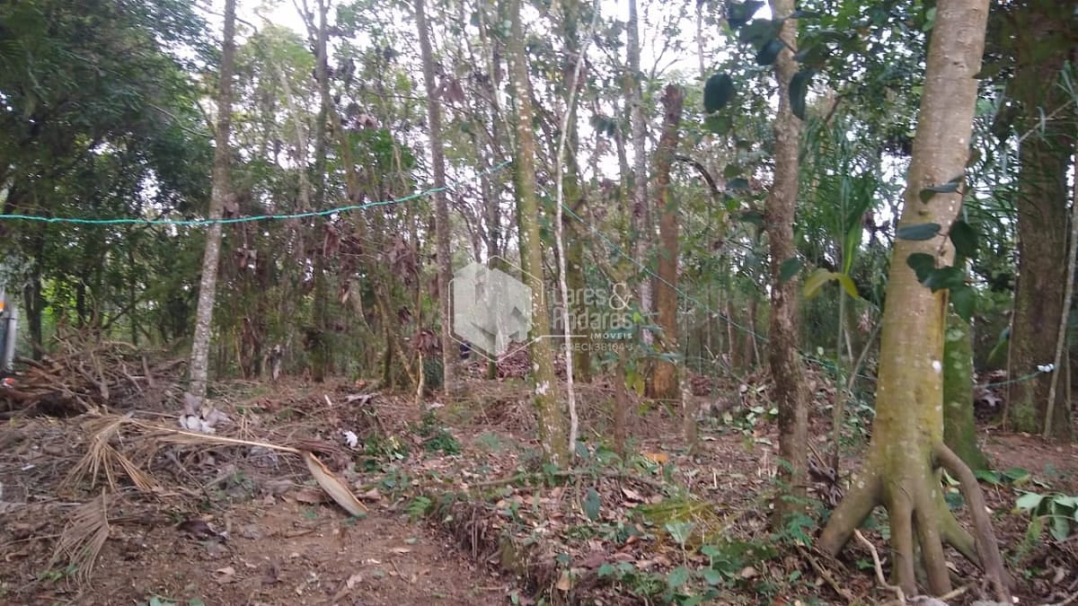 Terreno à venda com 1 quarto, 10m² - Foto 7