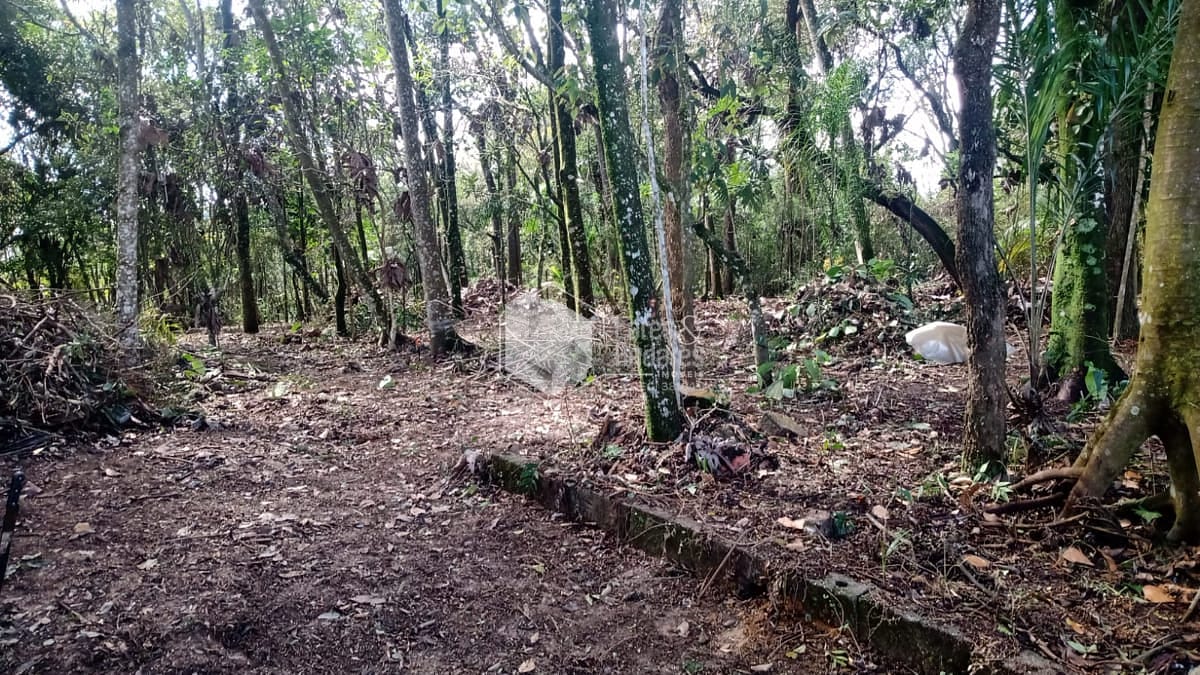 Terreno à venda com 1 quarto, 10m² - Foto 9