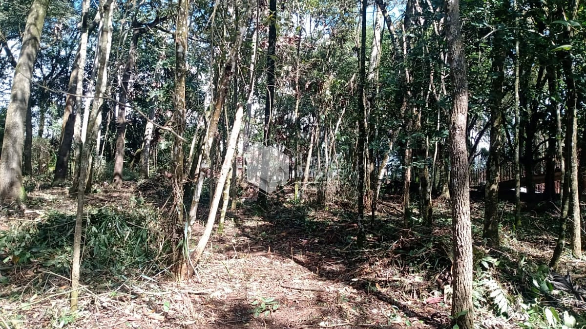 Terreno à venda com 1 quarto, 10m² - Foto 8