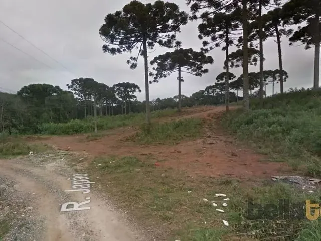 Terreno à venda, no bairro Conjunto Habitacional Monsenhor Francisco Gorski em Campo Largo