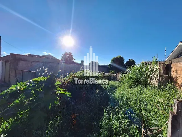 Terreno com 250m², à venda, no bairro Olarias em Ponta Grossa