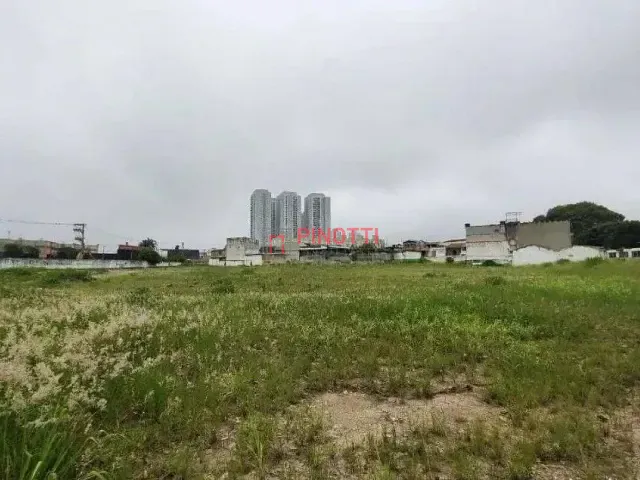 Terreno para alugar, no bairro Vila Olga em São Bernardo do Campo