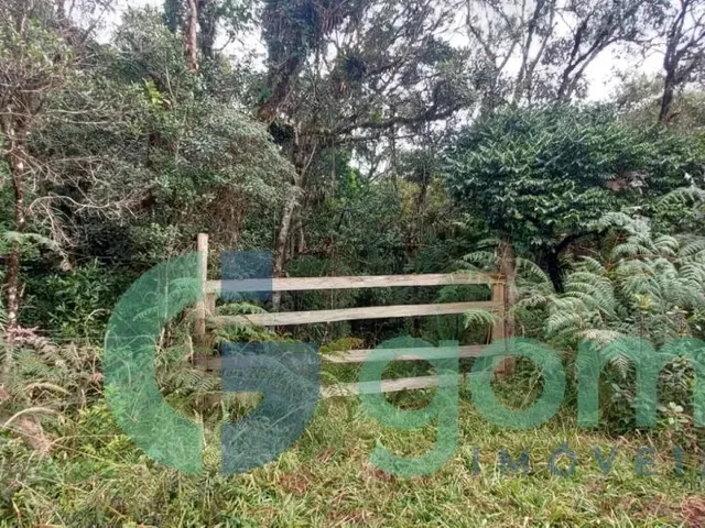 Terreno com 45000m², à venda, no bairro São João em Tijucas Do Sul