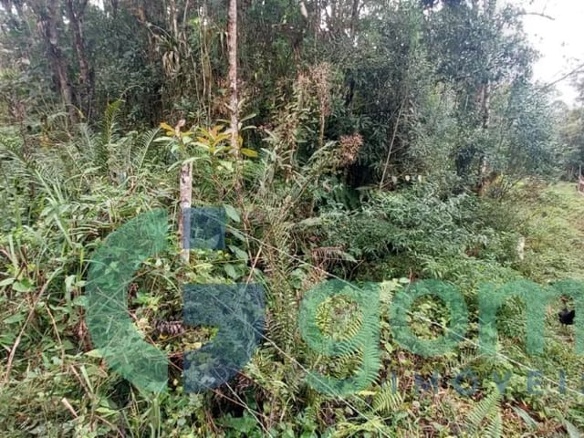 Terreno com 45000m², à venda, no bairro São João em Tijucas Do Sul