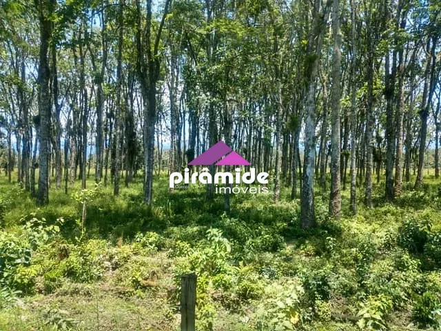 Terreno com 30000m², à venda, no bairro Barranco Alto em Caraguatatuba