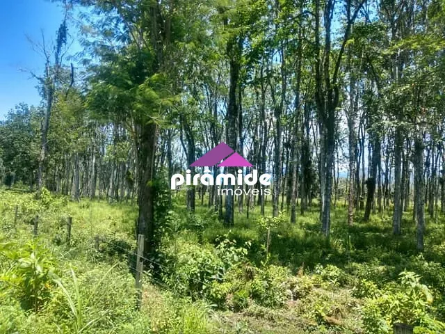 Terreno com 30000m², à venda, no bairro Barranco Alto em Caraguatatuba