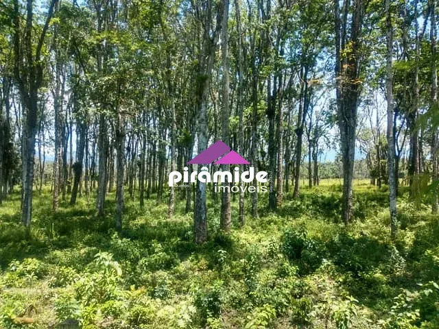 Terreno com 30000m², à venda, no bairro Barranco Alto em Caraguatatuba
