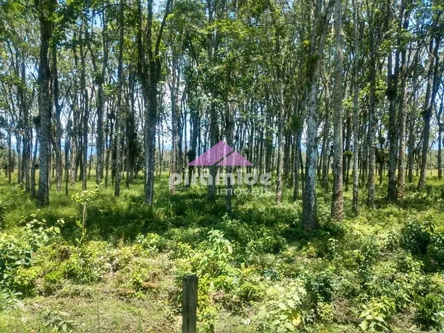 Terreno com 30000m², à venda, no bairro Barranco Alto em Caraguatatuba