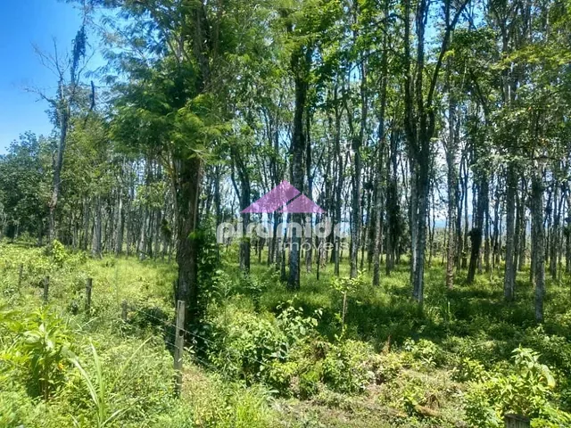 Terreno com 30000m², à venda, no bairro Barranco Alto em Caraguatatuba