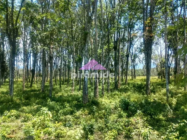 Terreno com 30000m², à venda, no bairro Barranco Alto em Caraguatatuba