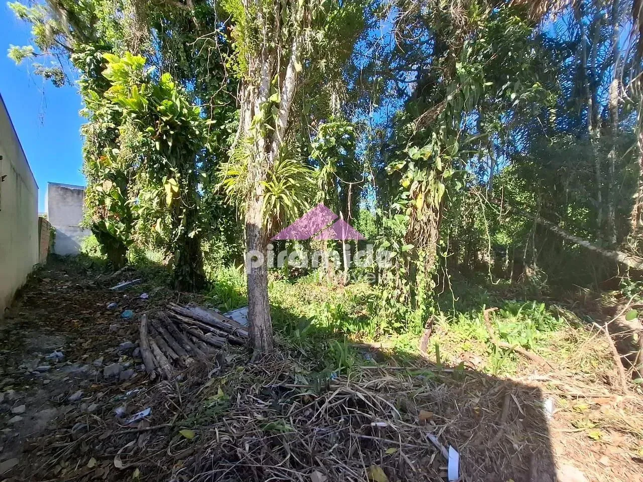Terreno, 490 m² - Foto 6