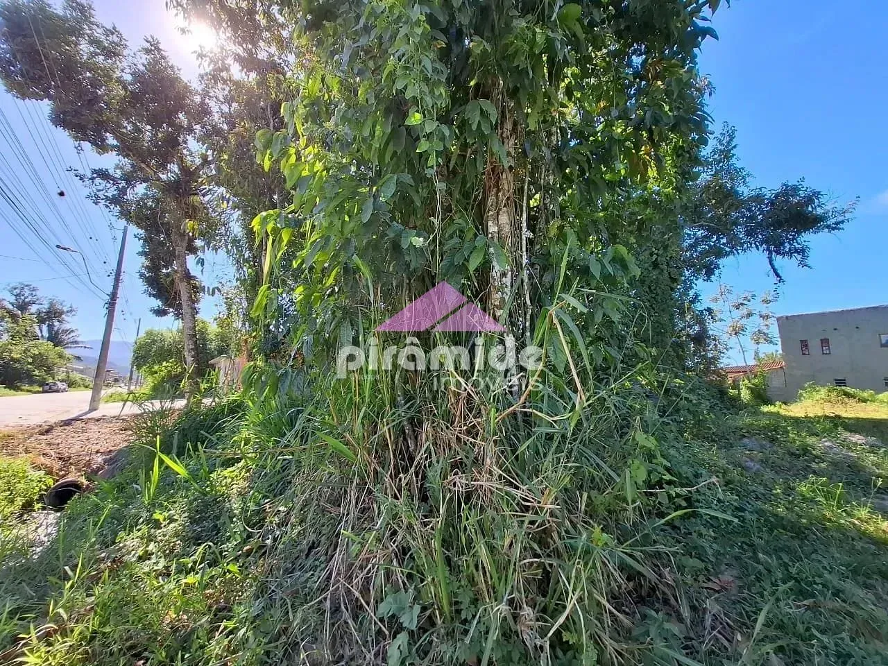 Terreno, 490 m² - Foto 8