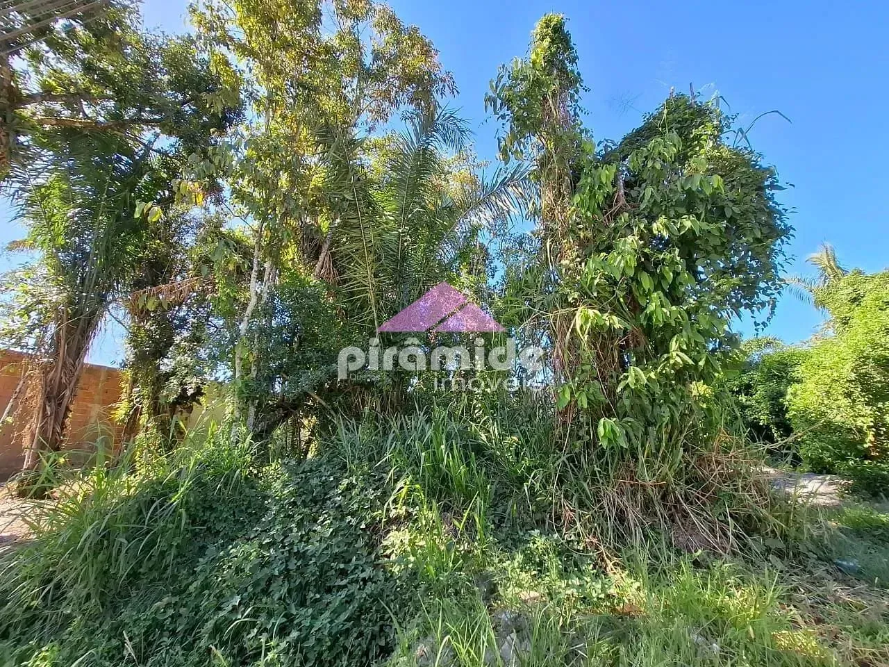 Terreno, 490 m² - Foto 9