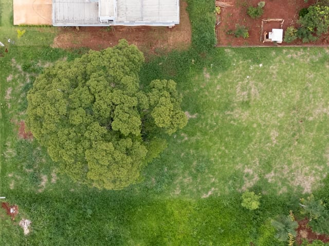 Terreno com 2010m2 à venda no Condomínio  Estância do Bosque, Santo Antônio de Goiás, GO - Revenda