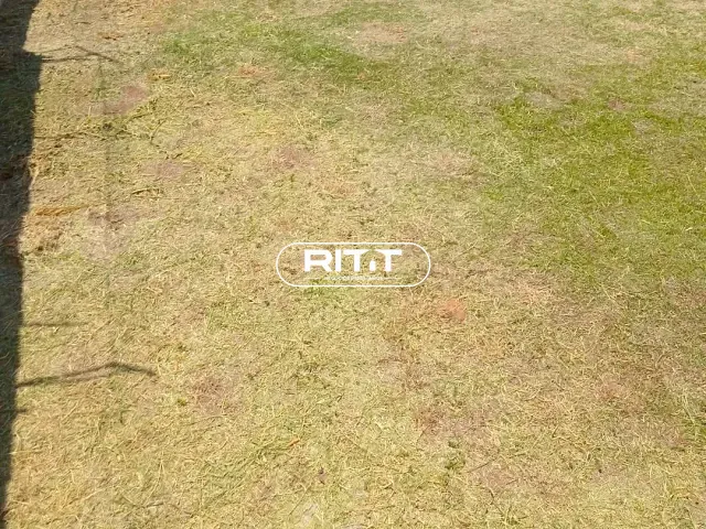 Terreno com 373m², à venda, no bairro Jardim Paraíso em Campinas