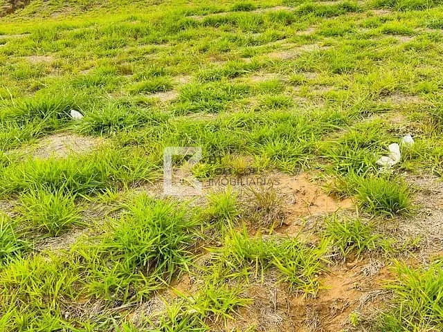Terreno com 304m², à venda, no bairro Jardim Regente em Indaiatuba