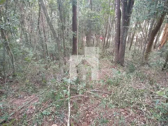 Terreno com 1052m², à venda, no bairro Loteamento Champs Privés em Campo Limpo Paulista