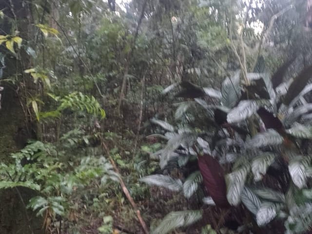 Terreno com 506m², à venda, no bairro Terras do Madeira em Carapicuíba