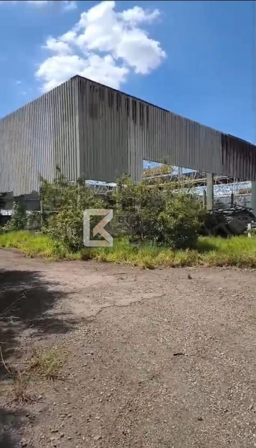 Terreno, 10 hectares - Foto 4