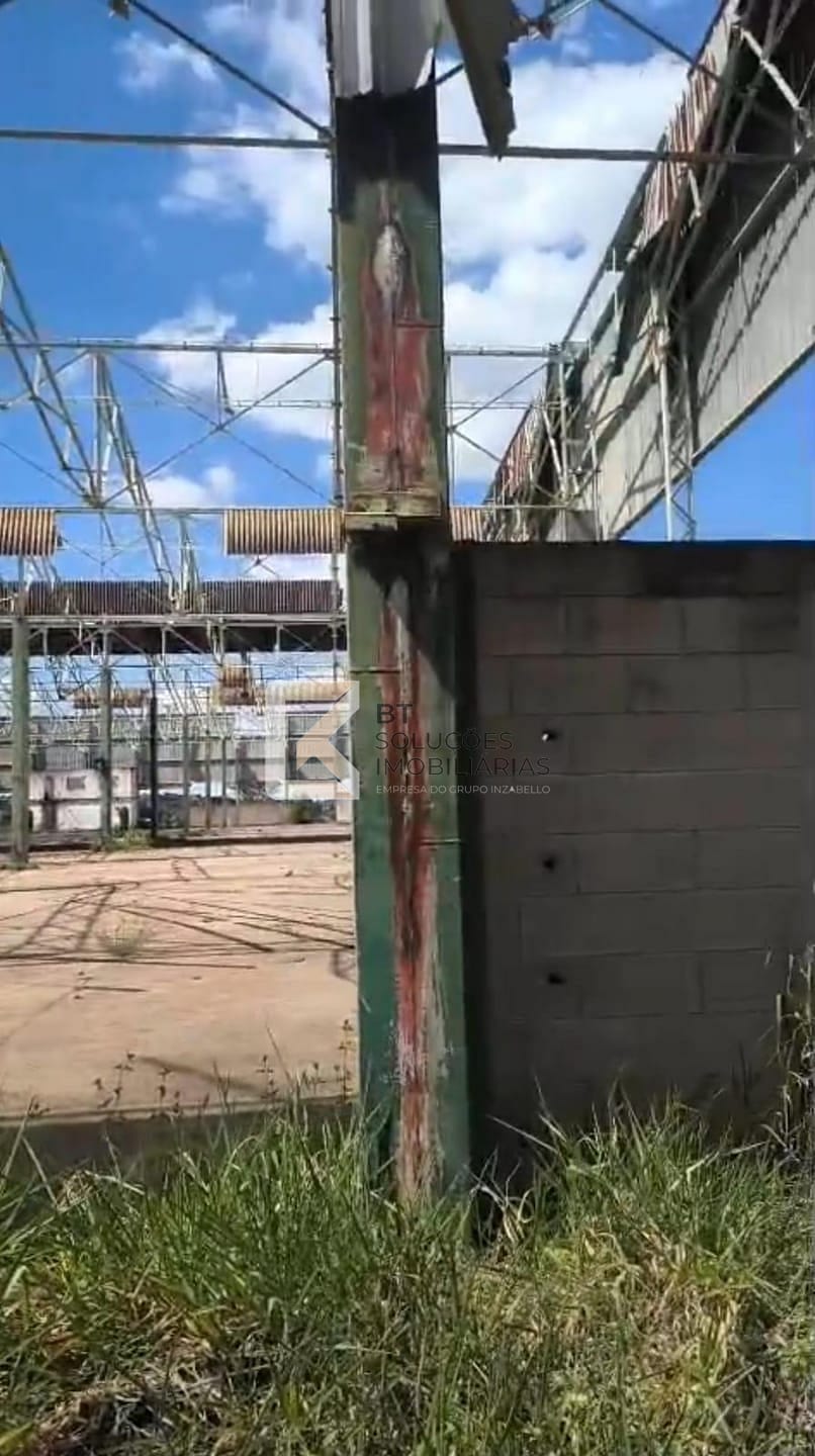 Terreno, 10 hectares - Foto 10