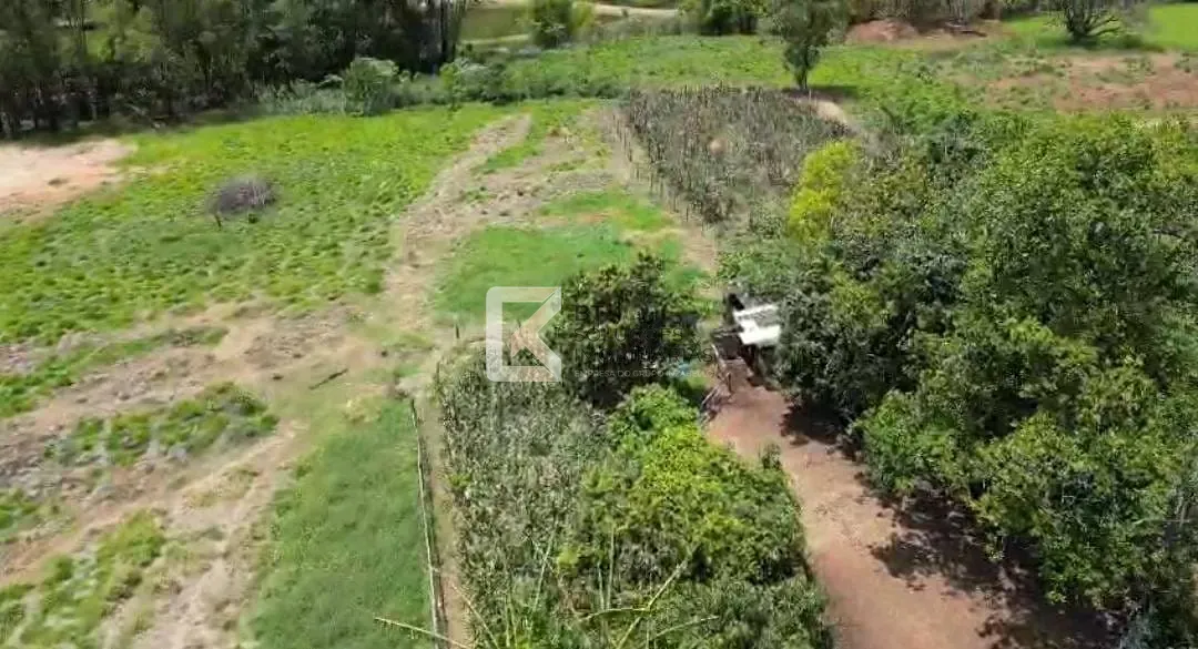 Terreno, 2 hectares - Foto 1