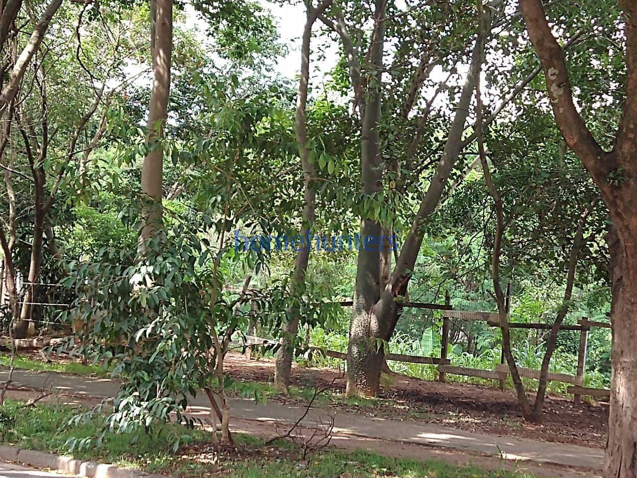 Terreno, 376 m² - Foto 15