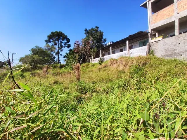 Terreno com 213m², à venda, no bairro Jardim São Judas Tadeu em São Paulo